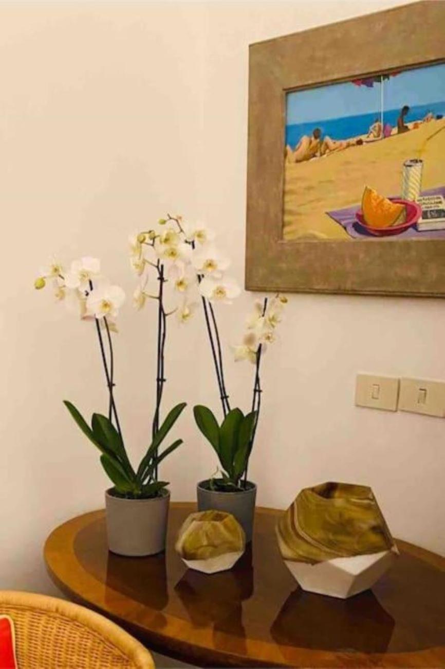 Apartamento Loft Ingresso Independente Zona San Lorenzo Roma